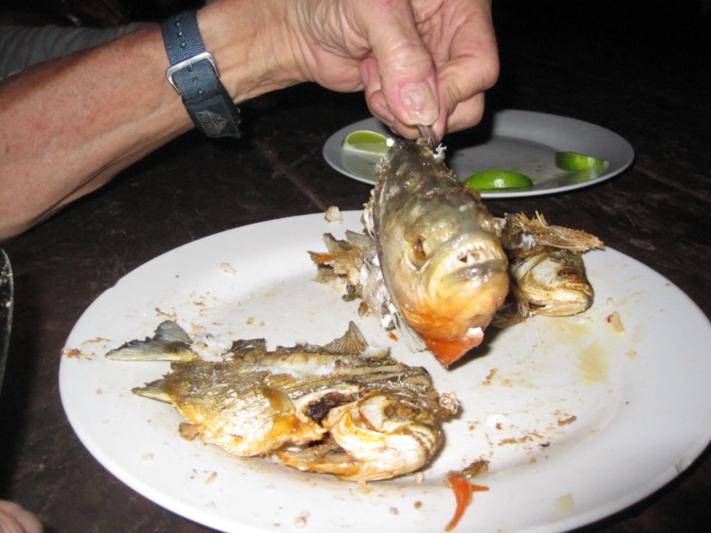 29-Fried piranha, tasty fish.jpg - Fried piranha, tasty fish